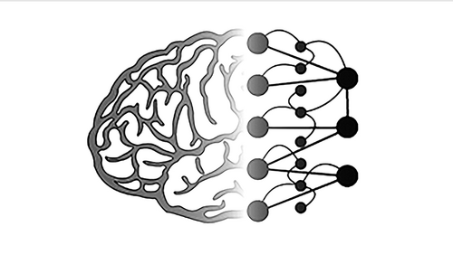 Computational Neuroscience Initiative Basel (CNIB)
