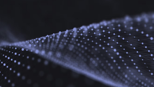 Circuit Neuroscience Community Basel (CNCB)