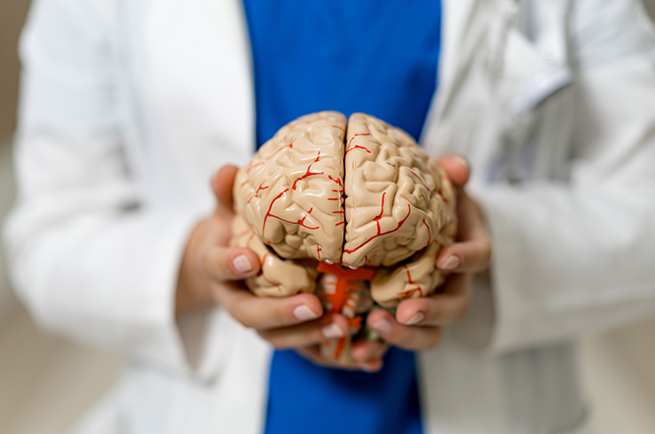 Understanding schizophrenia by bridging mouse and human brain circuits